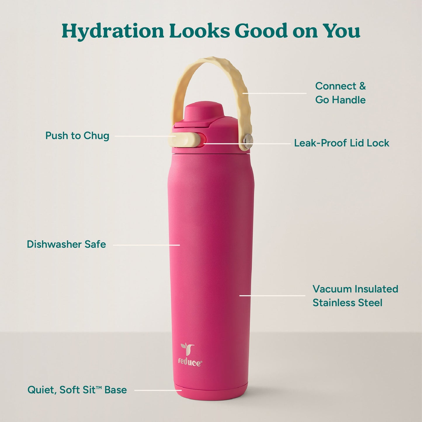 aura-26-oz-e5 Aura_26oz_DragonFruit_PDP_Infographic_2-03.jpg