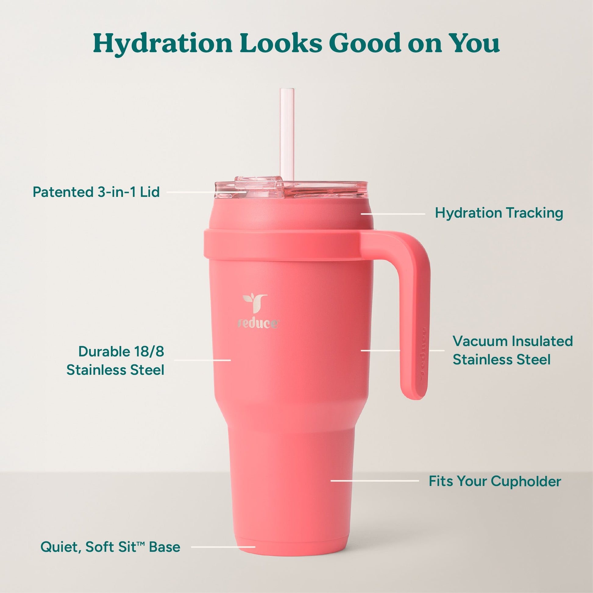 cold1-40-oz-h5 Cold1_40oz_Daiquiri_Infographic_2.jpg