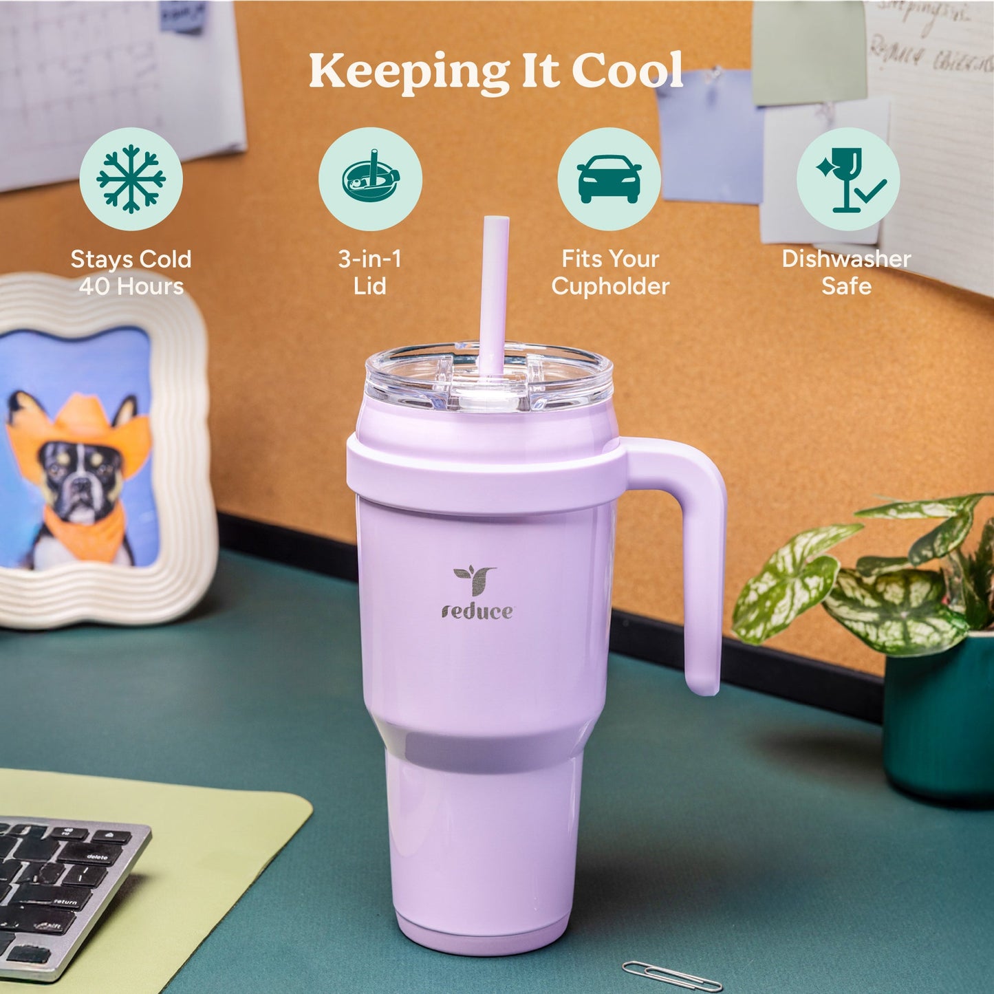 cold1-40-oz-h5 Cold1_40oz_OahuBlue_Infographic_1.jpg