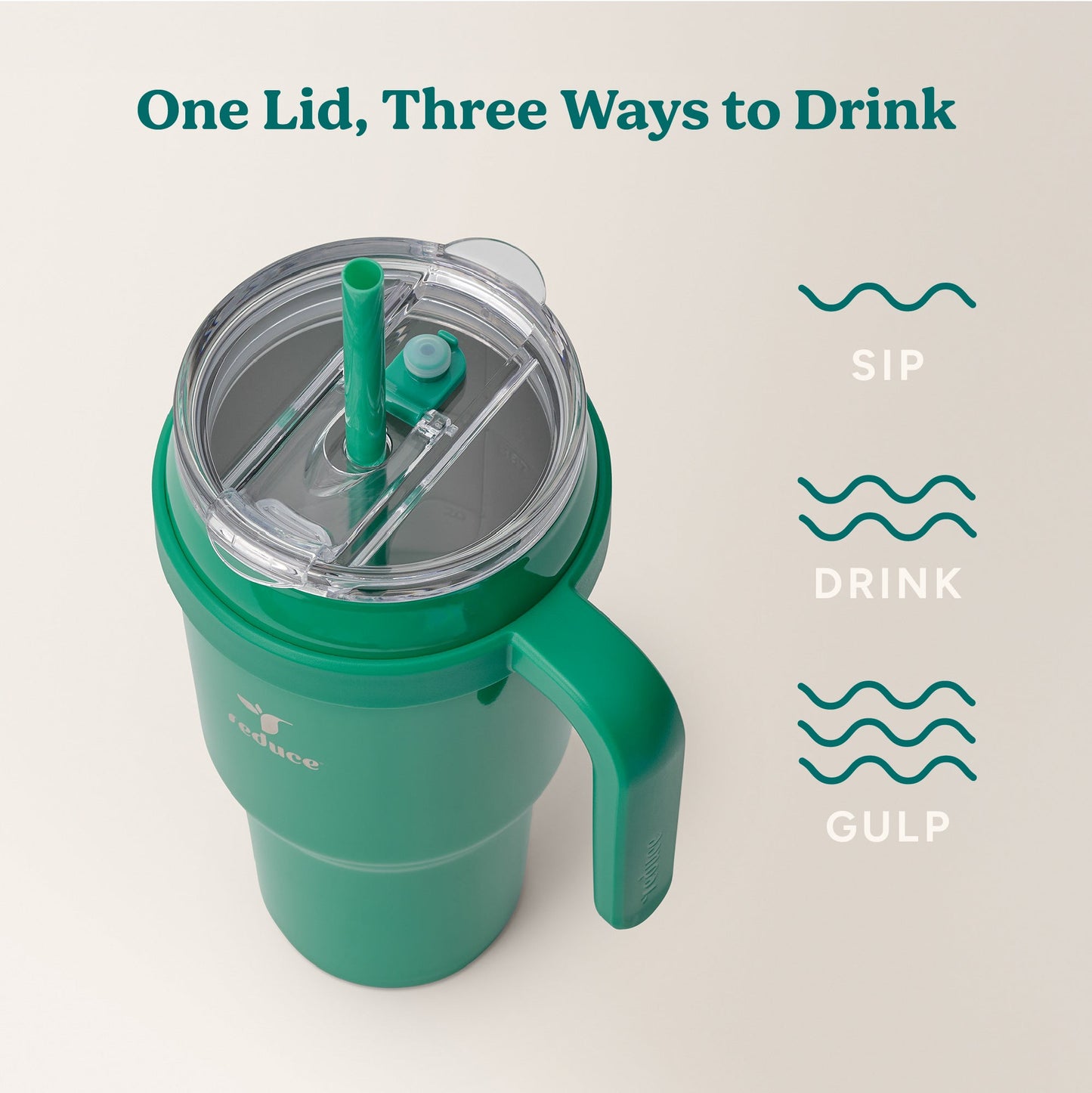 cold1-40-oz-i9 Cold1_40oz_PalmLeaf_Infographic_3.jpg