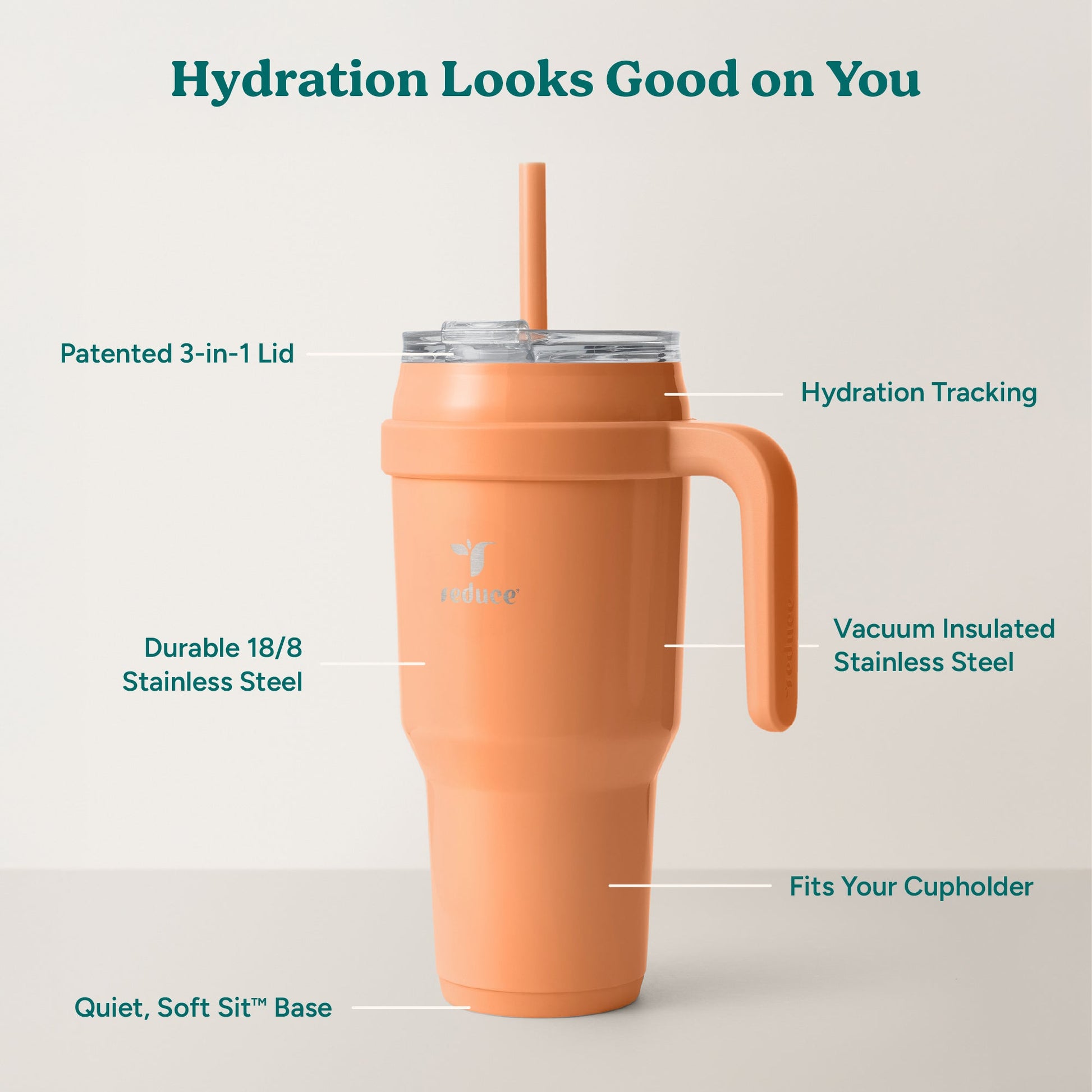 cold1-40-oz-h5 Cold1_40oz_Papaya_Infographic_2.jpg