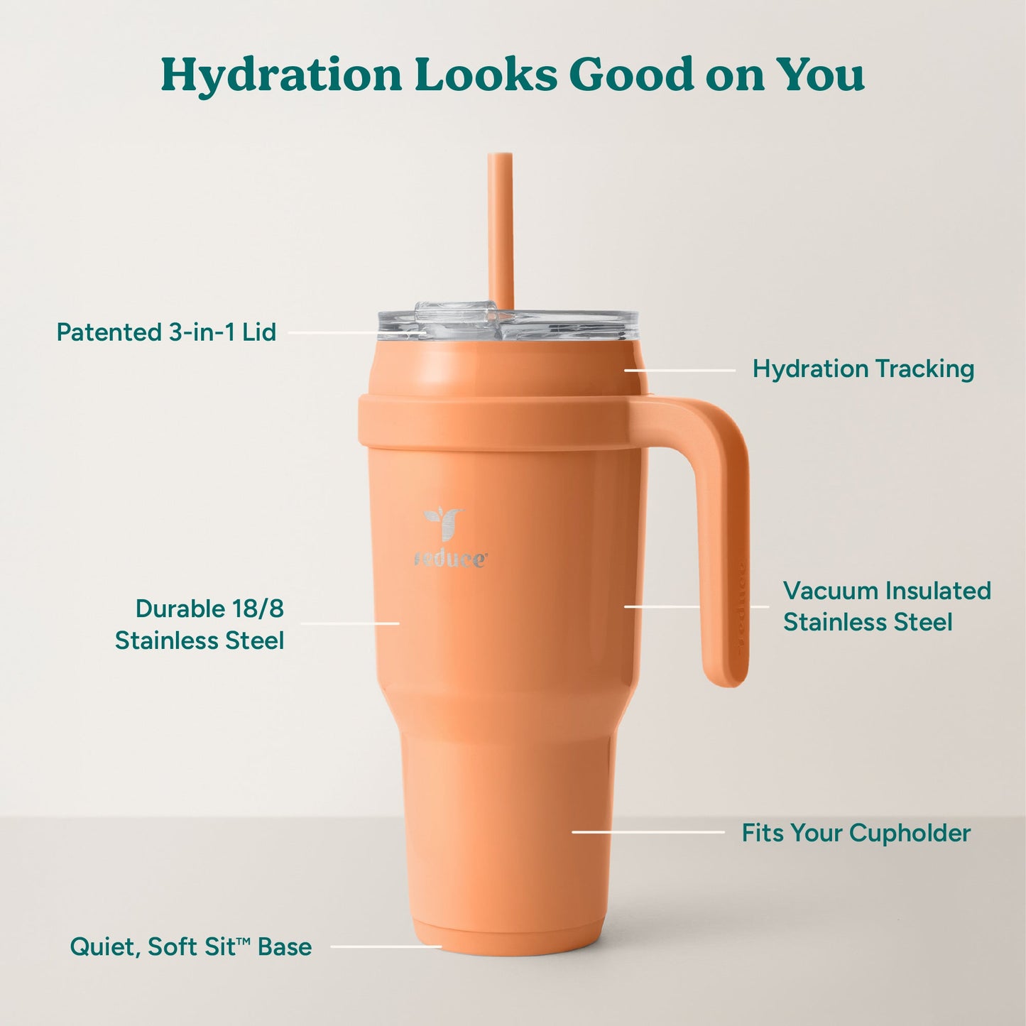 cold1-40-oz-i9 Cold1_40oz_Papaya_Infographic_2.jpg