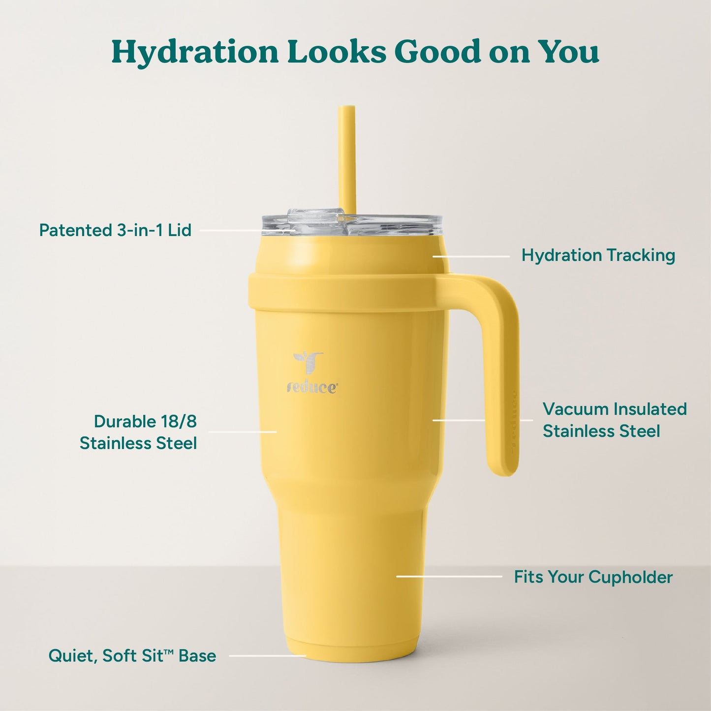 cold1-40-oz-h5 Cold1_40oz_Pineapple_Infographic_2.jpg